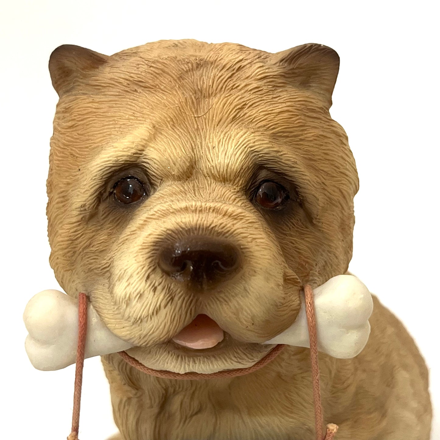 イヌのウェルカムオブジェクト チャウチャウ犬