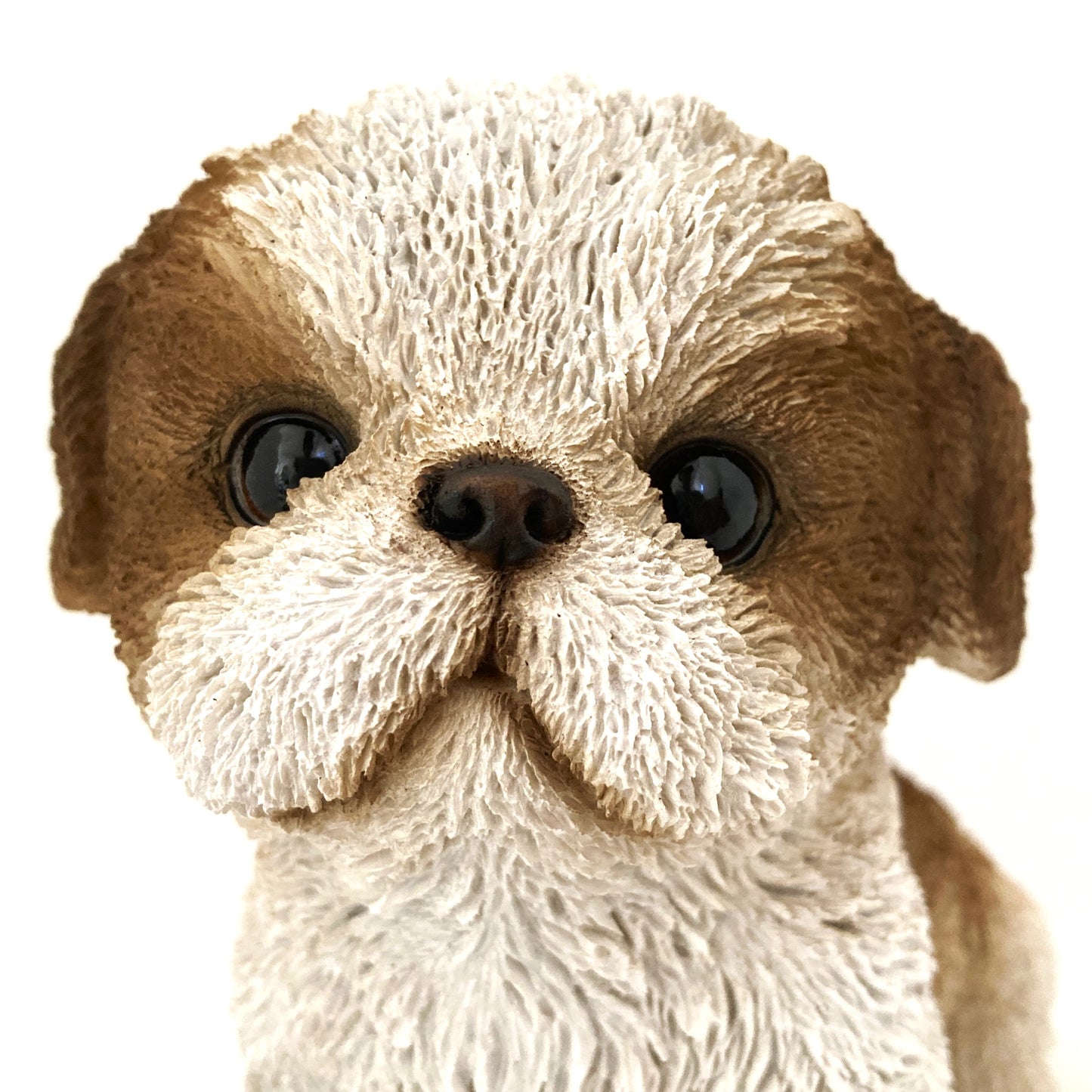 イヌのオブジェクト シーズー犬