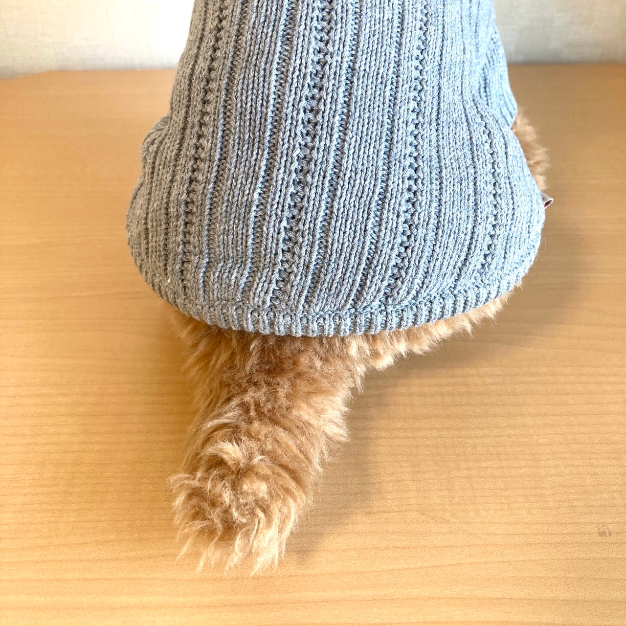 ドッグウェア ニット グレー