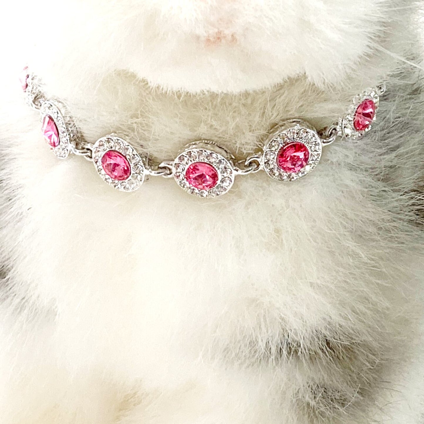 ペットアクセサリー　超小型犬　子犬　子猫　シルバー×ピンク