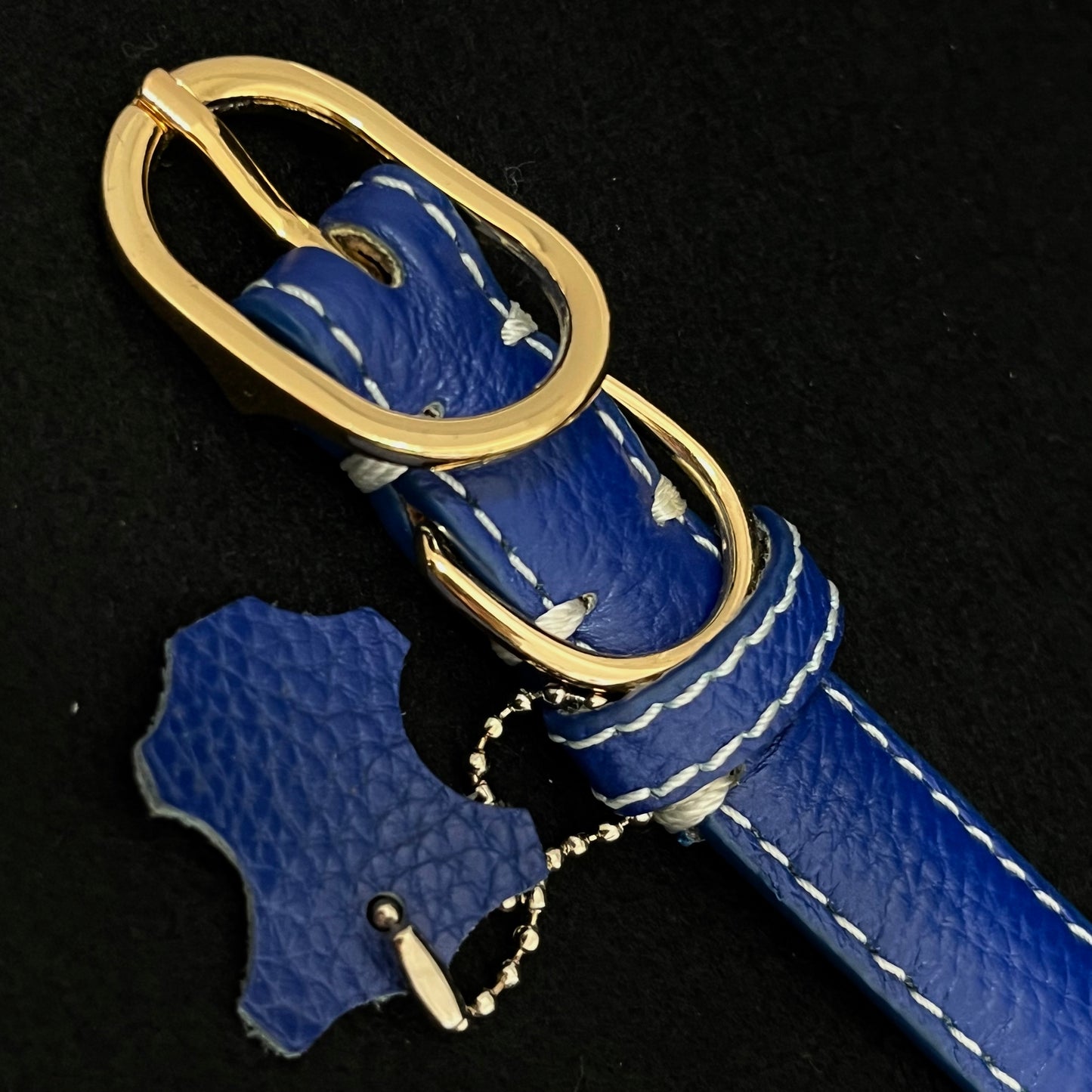 首輪とリードセット　ブルー　